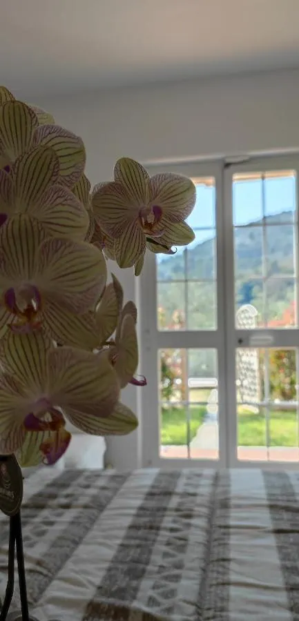 Rosi Room Giucano Guest house